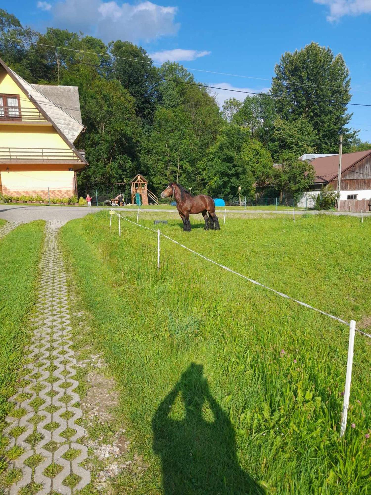 Zakatek Pienin Appartement Grywald Buitenkant foto